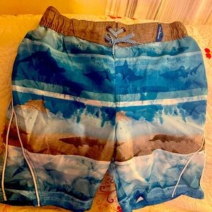 Nice Boys shorts for beach or anytime